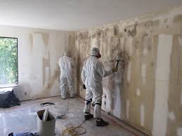 Professional Mold Removal Services in Banks Springs, LA